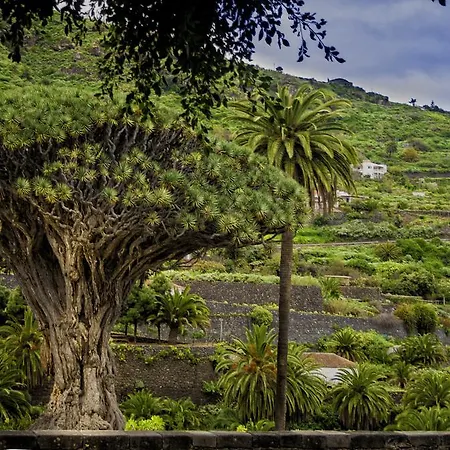 Casa Ciruelo * Icod De Los Vinos