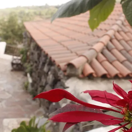 Casa Ciruelo Casa di campagna Icod De Los Vinos